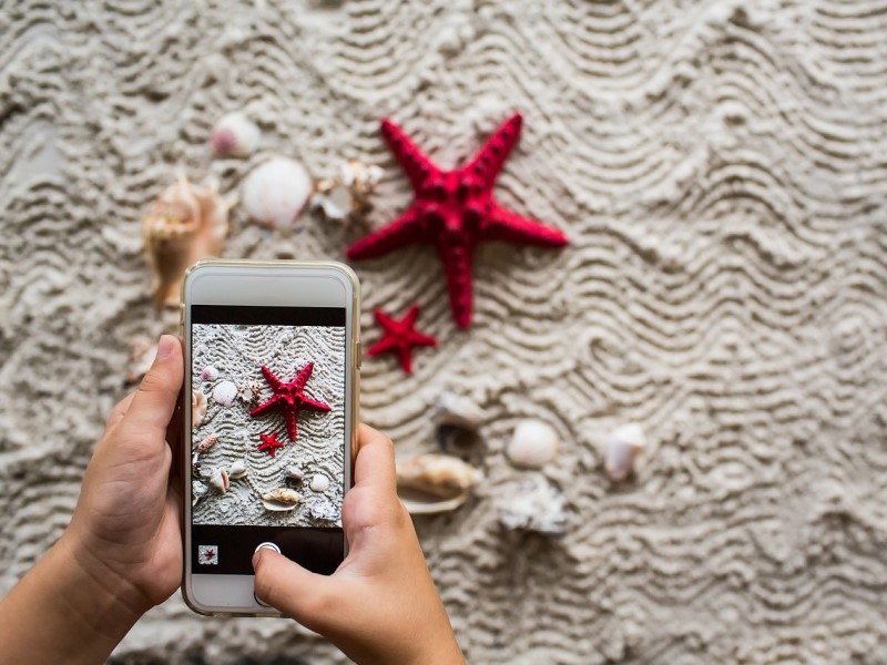 un teléfono móvil le hace una foto a una estrellita de mar roja