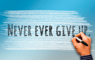 never give up suratica software