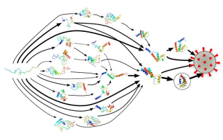 como luchar contra el coronavirus usando la computacion distribuida