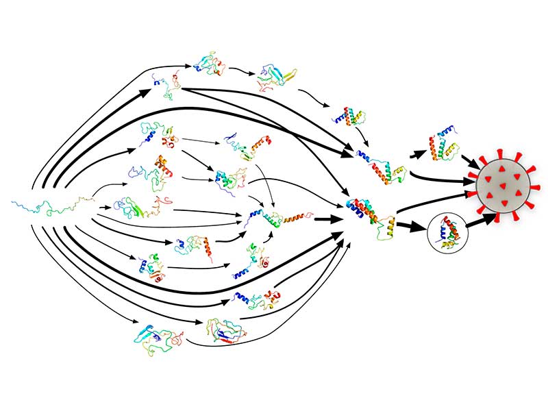 como luchar contra el coronavirus usando la computacion distribuida