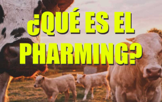imagen destacada de que es el pharming