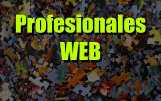 que profesionales web necesito para lograr mis objetivos