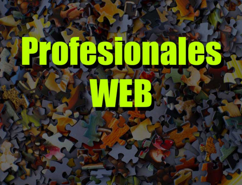 ¿Cuantos profesionales trabajan en una web?