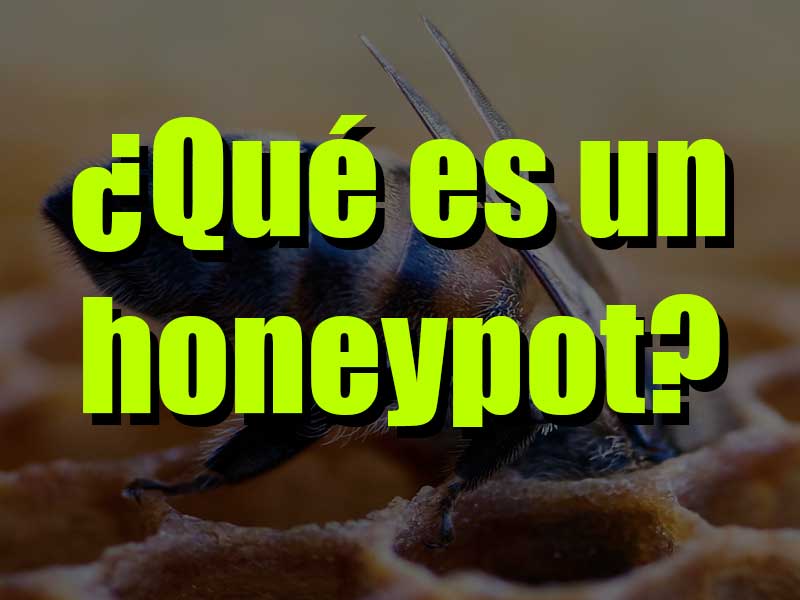 abeja comiendo miel de un honeypot