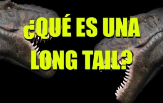 que es una long tail palabra de cola larga