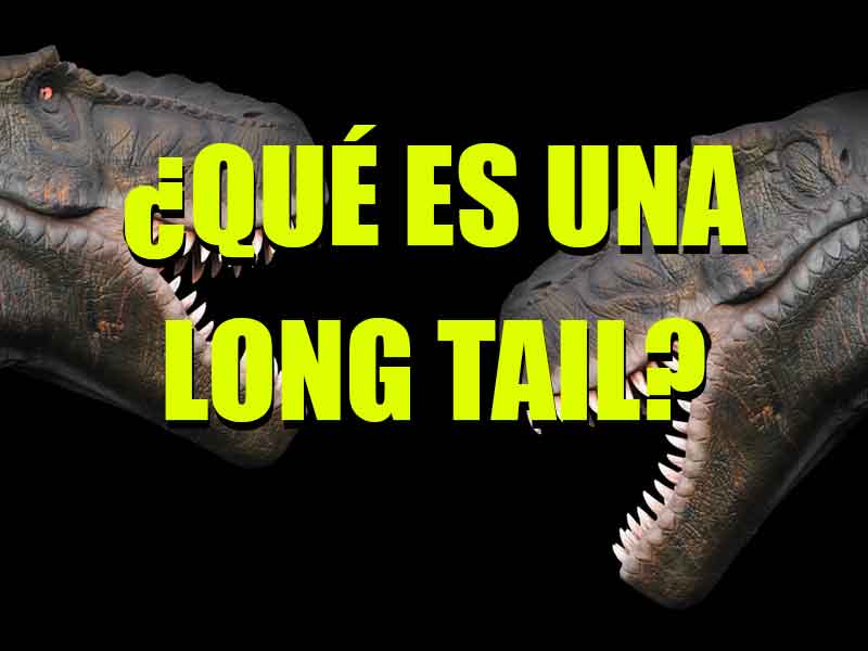 que es una long tail palabra de cola larga