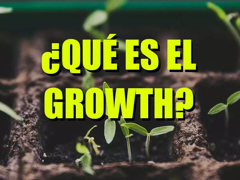 que es el growth